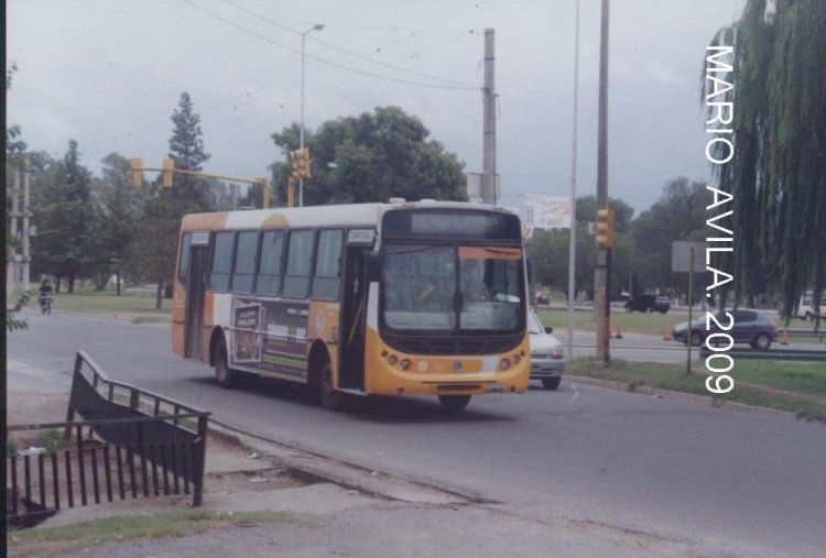 CONIFERAL   SACF
AV . COLON .
