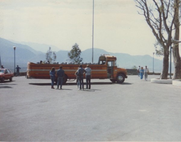 EL  ORO  NEGRO
BATEA , DEL  ORO  NEGRO , EN  EL  CERRO  DE  LA  GLORIA .
