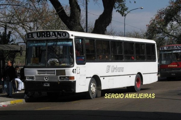 Mercedes-Benz OF 1620 - La Favorita - El Urbano
BWJ198
http://galeria.bus-america.com/displayimage.php?pid=30507
Palabras clave: 1620 favorita urbano jujuy