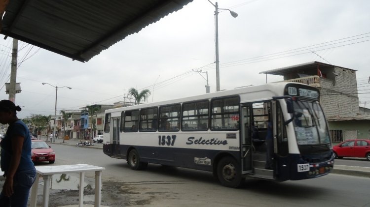 BUSCARS EN LINEA 116
IMAGEN CAPTURADA EN LA CIUDAD DE GUAYAQUIL
