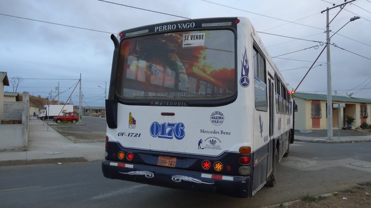 Marcopolo Torino en Ecuador
Cortesìa de Julio Soria Guerrero para www.bus-america.com
