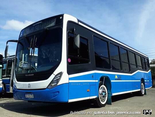 Mercedes Benz OH 1621 L-SB - Marcopolo Torino Low Entry - Cía Noroeste
AE 926 LV
[url=https://bus-america.com/galeria/displayimage.php?pid=53242]https://bus-america.com/galeria/displayimage.php?pid=53242[/url]

Bueno acá les dejo otra foto más del Marco polo qué ha comprado la línea 343 de Buenos Aires que como les decía es el primero sobre Mercedes y OH 1621
