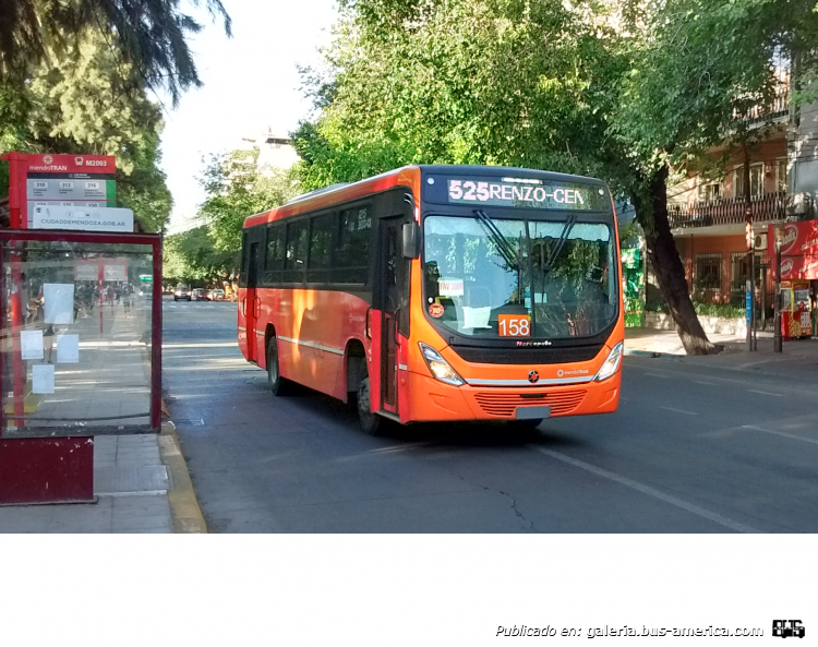 Mercedes-Benz OF 1621 - MARCOPOLO NEW TORINO - GRUPO 500
Línea 525 (Mendoza), interno 158

BUENO ACA LES DEJO EL MARCOPOLO QUE LES DECIA QUE MENCIONO FURLA, SE QUE LLEGARON PARA EL G 400 VERSIONES PISO BAJO EN OH 1621
Palabras clave: marcopolo torino mendotran grupo 500 of 1621