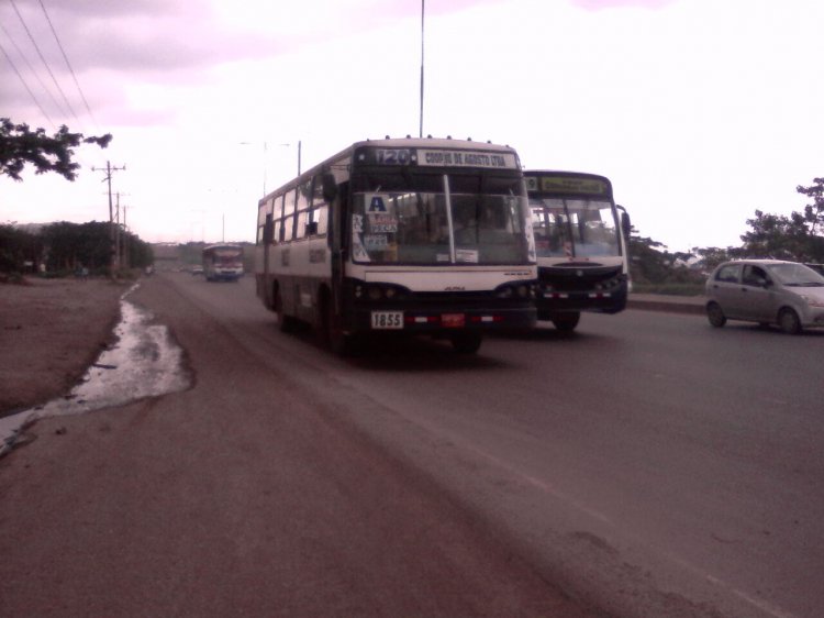 CAIO ALPHA (en Ecuador)
IMAGEN CAPTURADA EN LA CIUDAD DE GUAYAQUIL VIA PERIMETRAL
