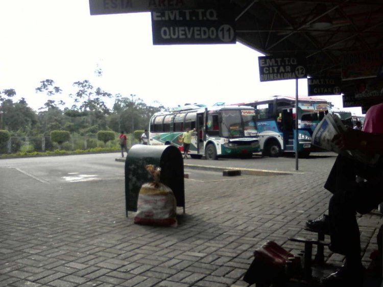 OLIMPICA
IMAGEN CAPTURADA EN LA TERMINAL TERRESTRE DE QUEVEDO
