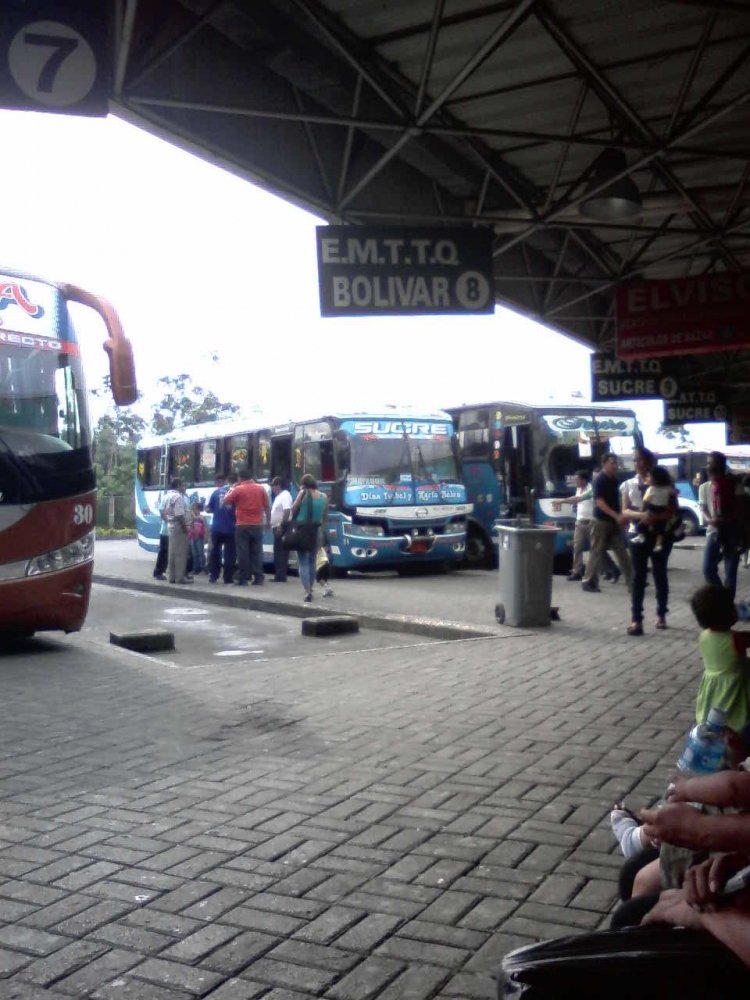 VARIOS BUSES
IMAGEN CAPTURADA EN LA TERMINAL TERRESTRE DE QUEVEDO
