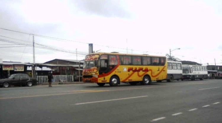 BUS RECOSTRUIDO POR CARROCERIAS MODELO
IMAGEN CAPTURADA EN PUENTE LUCIA - GUAYAQUIL
