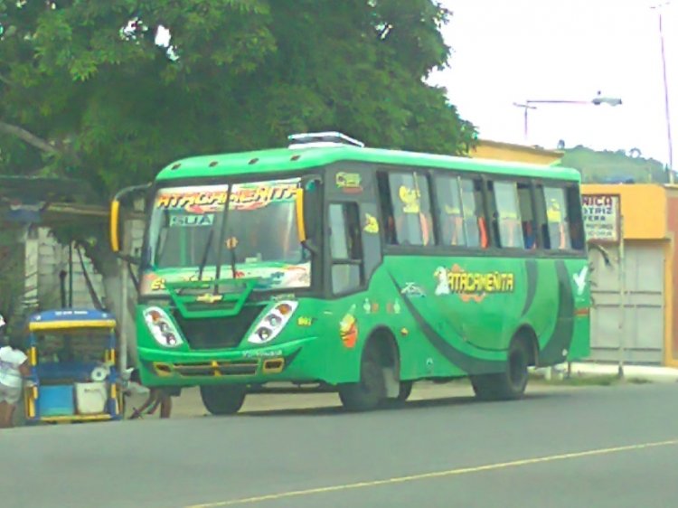 SOMAR
IMAGEN DE JUAN DURÁN
http://galeria.bus-america.com/displayimage.php?pos=-12828
