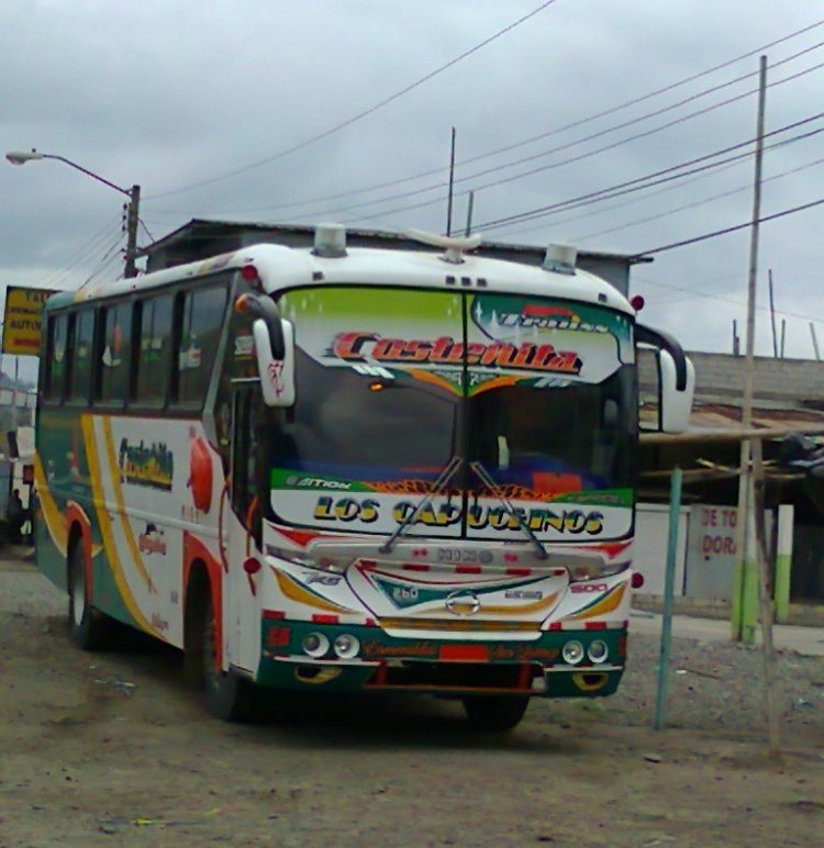 CARROCERIAS SOMAR
IMAGEN DE JUAN DURÁN, FRENTE DE BUS
http://galeria.bus-america.com/displayimage.php?pos=-13080
