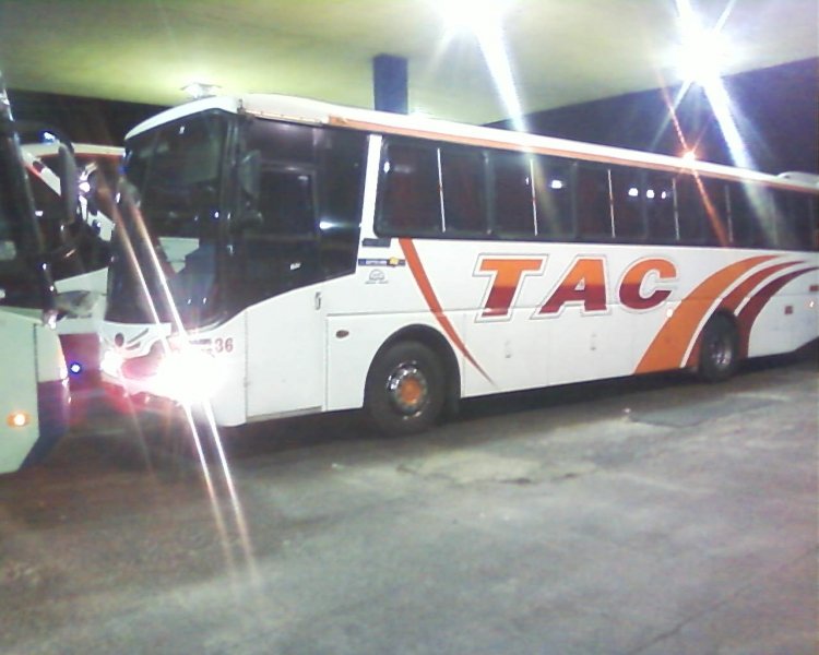 BUS EN GASOLINERA
IMAGEN CAPTURADA A LAS 3 AM
