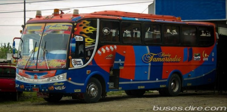 VILLALBUS
IMAGEN EXTRAIDA DE BUSES.DIRE.COM
