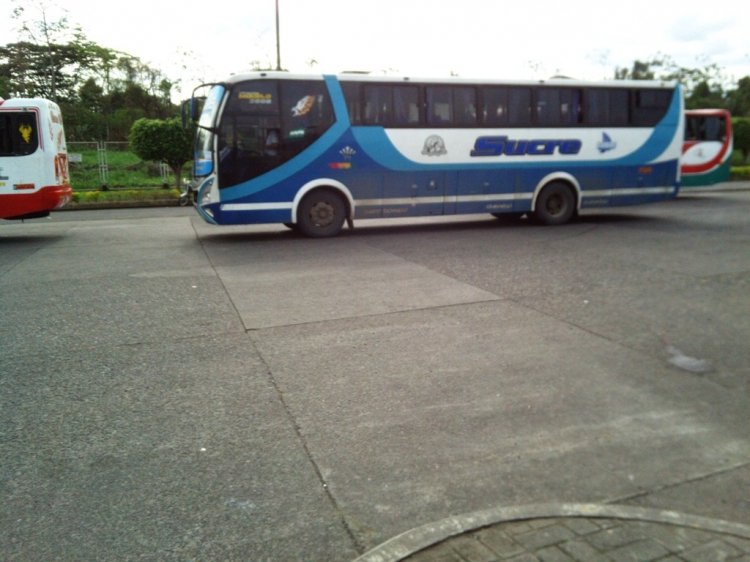 MODELO EN SUCRE, EL AZUL 51
TERMINAL TERRESTRE DE QUEVEDO
