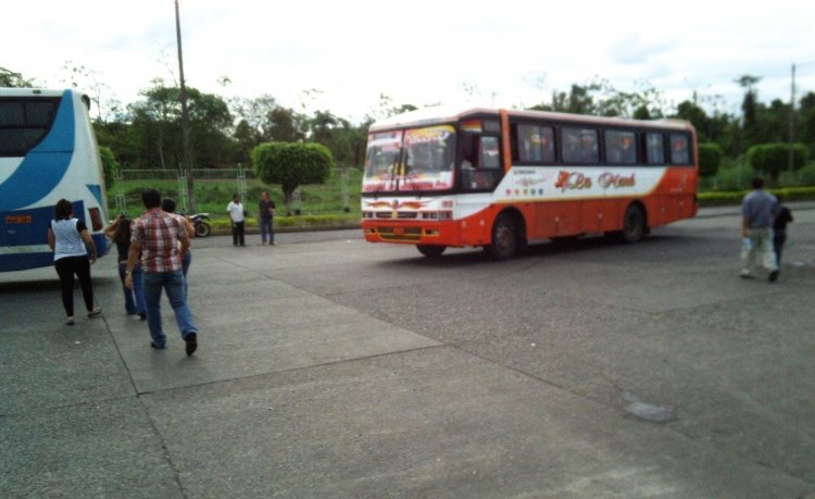 BUSSCAR EL BUS 320 (EN ECUADOR) - COOP LA MANA
TERMINAL TERRESTRE DE QUEVEDO
