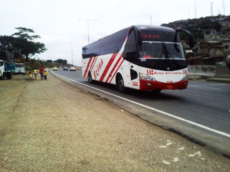 YUTONG ZK6129HB EXTENDIDO (EN ECUADOR) - REINA DEL CAMINO SERVICIO EJECUTIVO
"CDLA." PASCUALES  - GUAYAQUIL
