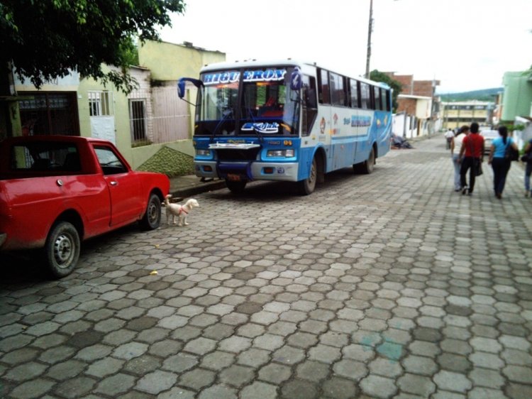 PICOSA EN TRANS HIGUERON
MONTECRISTI  - MANABI 
