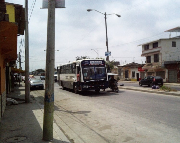JATIVA VOLKSBUS - TIPO APACHE VIP
IMAGEN DEL BUSOLOGO MAX

