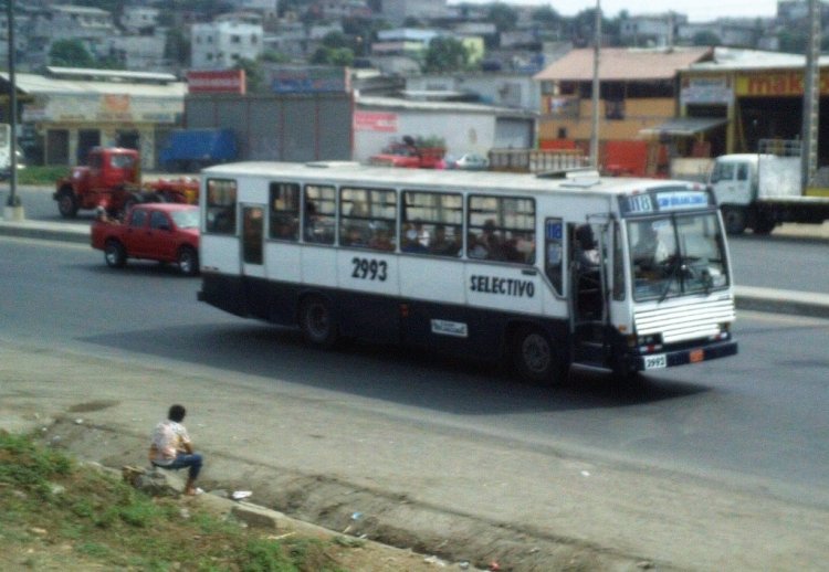 CAIO VITORIA (EN ECUADOR) - COOP. RIO AMAZONAS
IMAGEN DEL BUSOLOGO MAX
