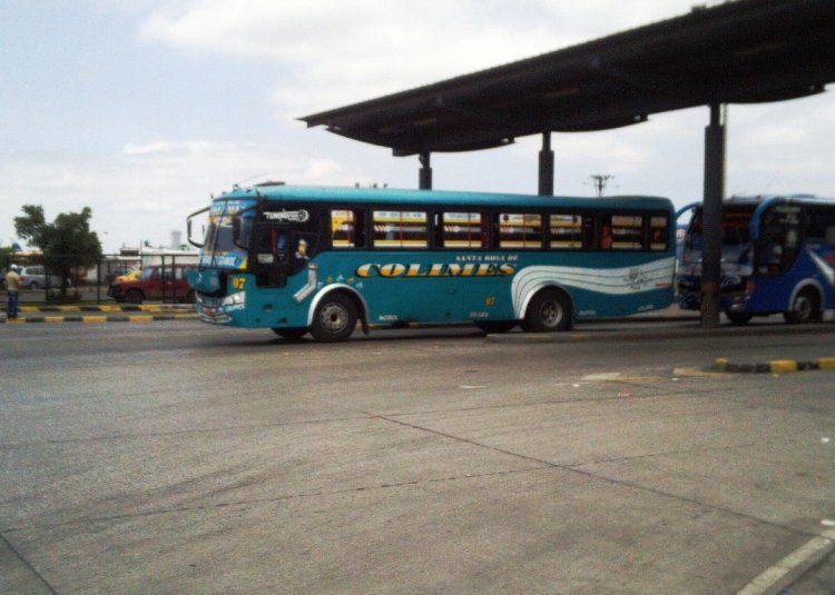 QUE CARROCERIA ES??? SANTA ROSA DE COLIMES
TERMINAL TERRESTRE DE GUAYAQUIL
