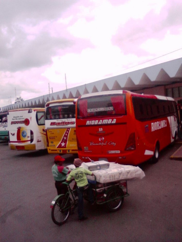 IMITACION DEL G7
POSTERIOR DE BUS ALVARADO
