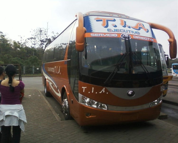 Yutong ZK1600H (En Ecuador) T.I.A.
IMAGEN TOMADA EN LA TERMINAL TERRESTRE DE LA CIUDAD DE QUEVEDO
