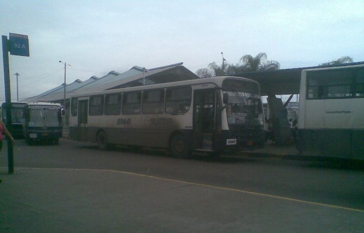 Caio Apache Vip (En Ecuador) - BUS URBANO DE GUAYAQUIL
FOTO TOMADA EN LA TERMINAL TERRESTRE DE LA CUIDAD DE GUAYAQUIL
