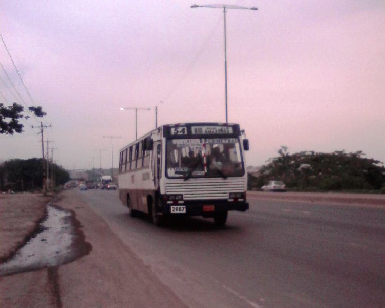 RODAS BUS
BUS URBANO DE GUAYAQUIL
