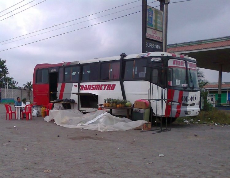 BUS FRUTERO - LEGUMBRERO
IMAGEN DE JUAN DURÁN
