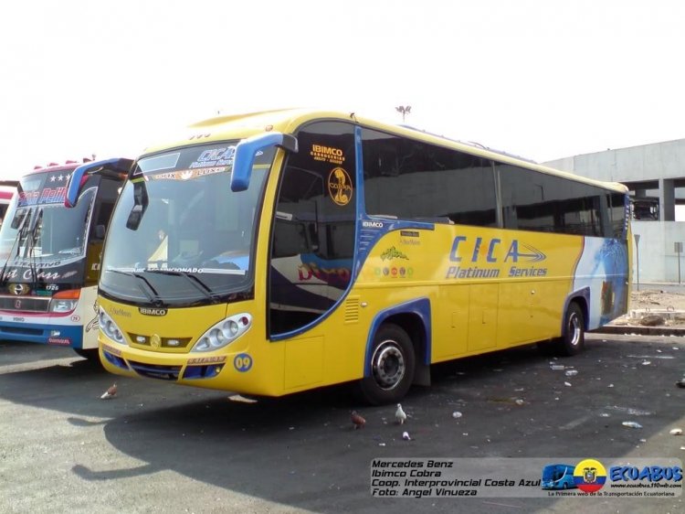 IBIMCO COBRA
FOTO EXTRAIDA DE ECUABUS , TOMADA POR ANGEL VINUEZA, BUS CON VIDRIOS PEGADOS
