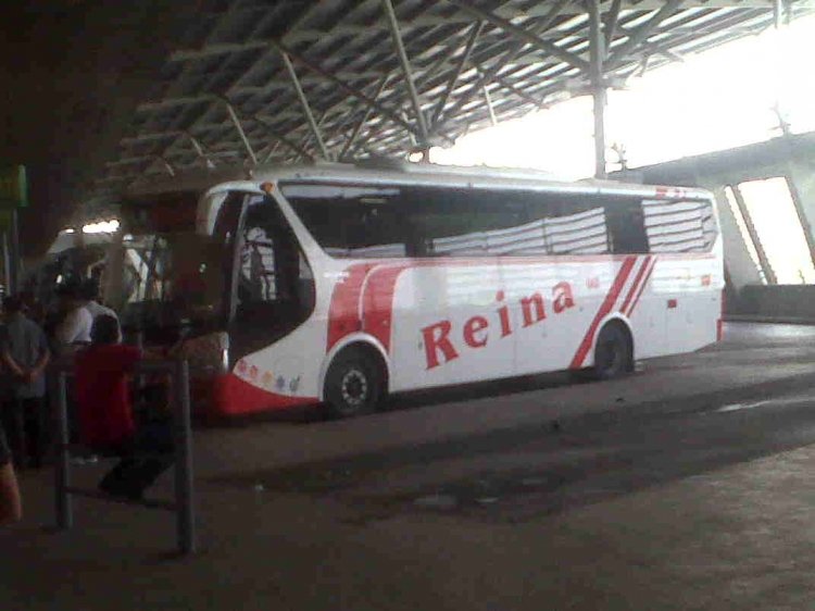 PICOSA EN REINA DEL CAMINO "EJECUTIVO ESPECIAL"
IMAGEN CAPTURADA EN LA TERMINAL TERRESTRE DE GUAYAQUIL
