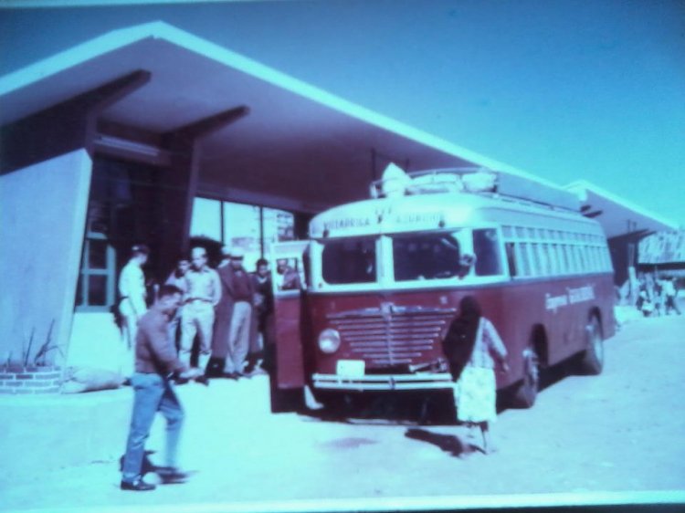 Fotografía de: Beatriz Adriana Sertich
