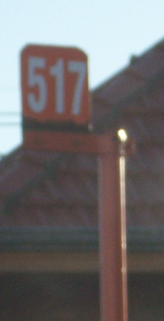 MARCELO SALGADO
MARCELO SALGADO
