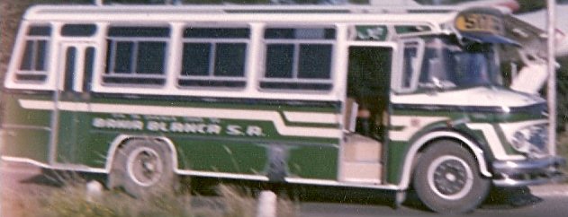 LOS QUE YO MANEJE!!!
CIA DE OMNIBUS CDAD. DE  BAHIA BLANCA - A�OS DE FUNCIONAMIENTO 1962-2000
Se puede consultar la historia de esta l�nea en [url=http://revista.bus-america.com/Notas/517.htm] revista.bus-america.com 517
[/url]
Fotograf�a : Ricardo Herner
