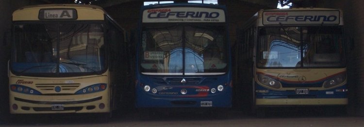 MARCELO SALGADO
FRC962 [1º izquierda]  &  IJY478 [2º centro]  &  GFZ554 [3º desde la izquierda]
MARCELO SALGADO
