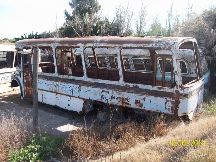 MARCELO SALGADO
MARCELO SALGADO
