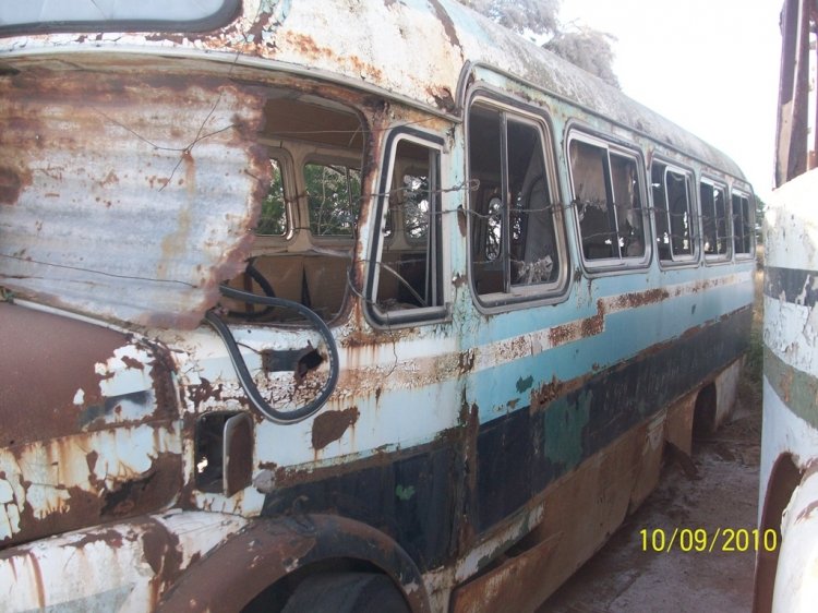 MARCELO SALGADO
MARCELO SALGADO
