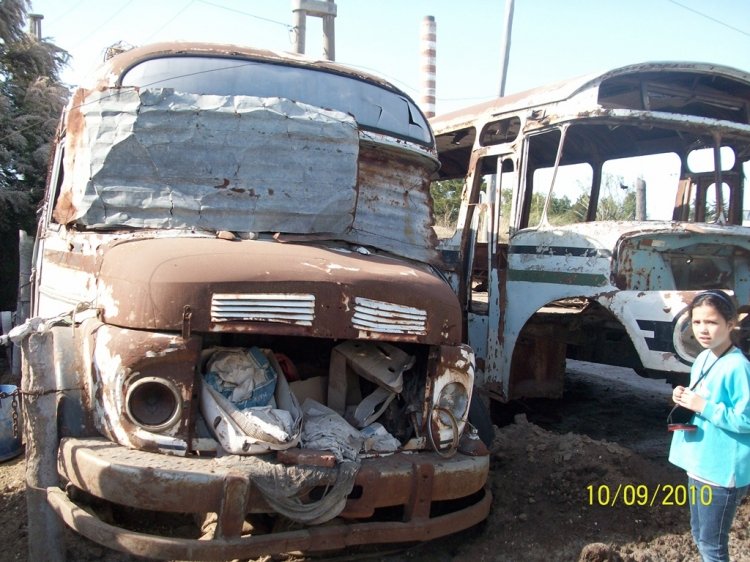 MARCELO SALGADO
MARCELO SALGADO
