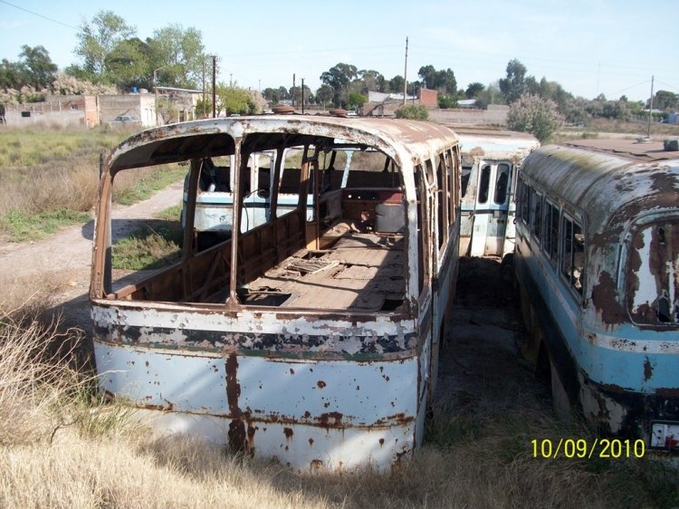 MARCELO SALGADO
MARCELO SALGADO
