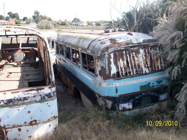 MARCELO SALGADO
MARCELO SALGADO

