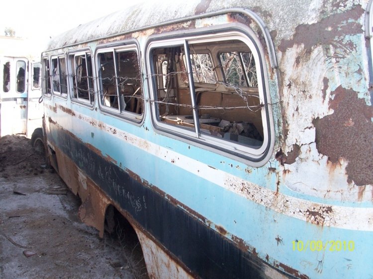 MARCELO SALGADO
MARCELO SALGADO
