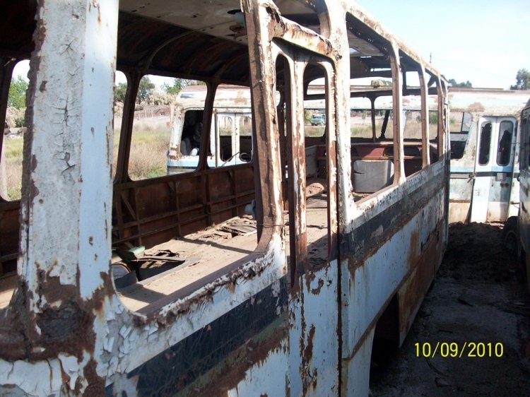 MARCELO SALGADO
MARCELO SALGADO

