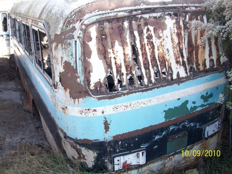 MARCELO SALGADO
MARCELO SALGADO
