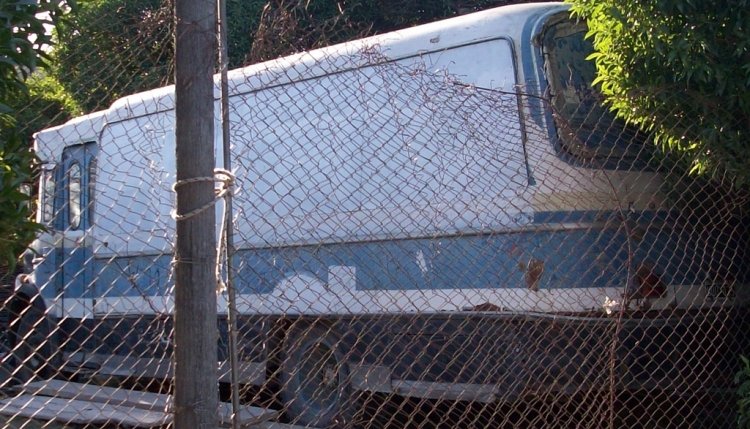 MARCELO SALGADO
MARCELO SALGADO
