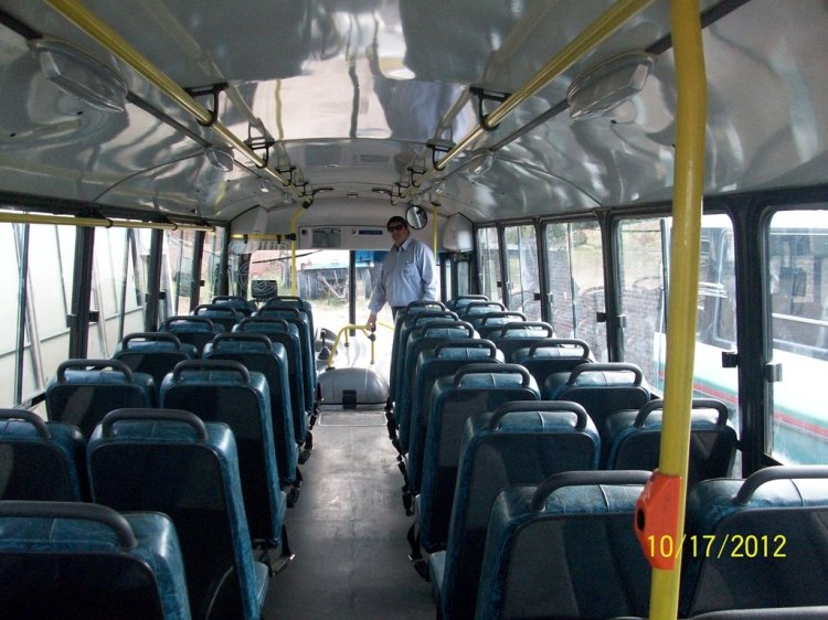 MARCELO SALGADO
MARCELO SALGADO
