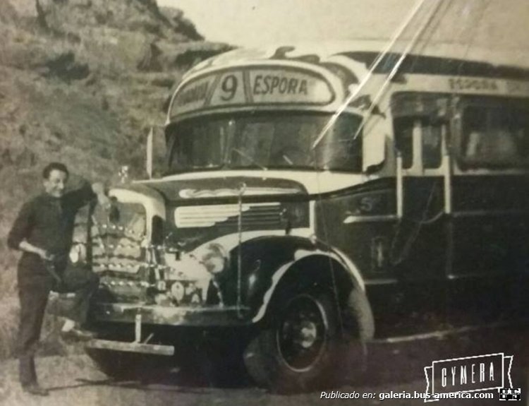 Mercedes-Benz L 312 - La Favorita - Cdad. Bahía Blanca
[url=https://bus-america.com/galeria/displayimage.php?pid=39545]https://bus-america.com/galeria/displayimage.php?pid=39545[/url]
[url=https://bus-america.com/galeria/displayimage.php?pid=39546]https://bus-america.com/galeria/displayimage.php?pid=39546[/url]
[url=https://bus-america.com/galeria/displayimage.php?pid=39547]https://bus-america.com/galeria/displayimage.php?pid=39547[/url]
[url=https://bus-america.com/galeria/displayimage.php?pid=39548]https://bus-america.com/galeria/displayimage.php?pid=39548[/url]

Línea 9 (Pdo. Bahía Blanca), interno 5

En la imagen: Miguel Partearroyo
Fotografía: Cynera

Para conocer la historia de esta línea puede visitar el articulo en Revista Bus América: [url=https://bus-america.com/revista/Notas/517.htm]Línea 517 "La Pachanga"[/url]
