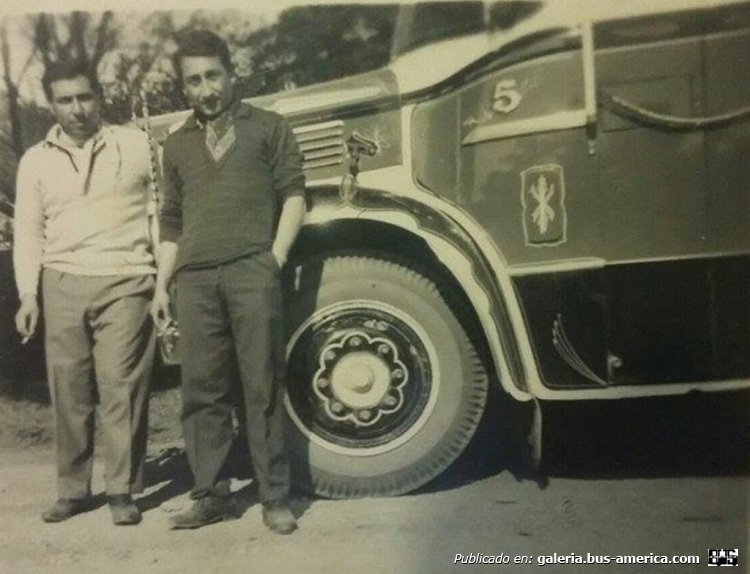 Mercedes-Benz L 312 - La Favorita - Cdad. Bahía Blanca
[url=https://bus-america.com/galeria/displayimage.php?pid=39544]https://bus-america.com/galeria/displayimage.php?pid=39544[/url]
[url=https://bus-america.com/galeria/displayimage.php?pid=39545]https://bus-america.com/galeria/displayimage.php?pid=39545[/url]
[url=https://bus-america.com/galeria/displayimage.php?pid=39546]https://bus-america.com/galeria/displayimage.php?pid=39546[/url]
[url=https://bus-america.com/galeria/displayimage.php?pid=39548]https://bus-america.com/galeria/displayimage.php?pid=39548[/url]

Línea 9 (Pdo. Bahía Blanca), interno 5

En la imagen: Miguel Partearroyo

Para conocer la historia de esta línea puede visitar el articulo en Revista Bus América: [url=https://bus-america.com/revista/Notas/517.htm]Línea 517 "La Pachanga"[/url]
