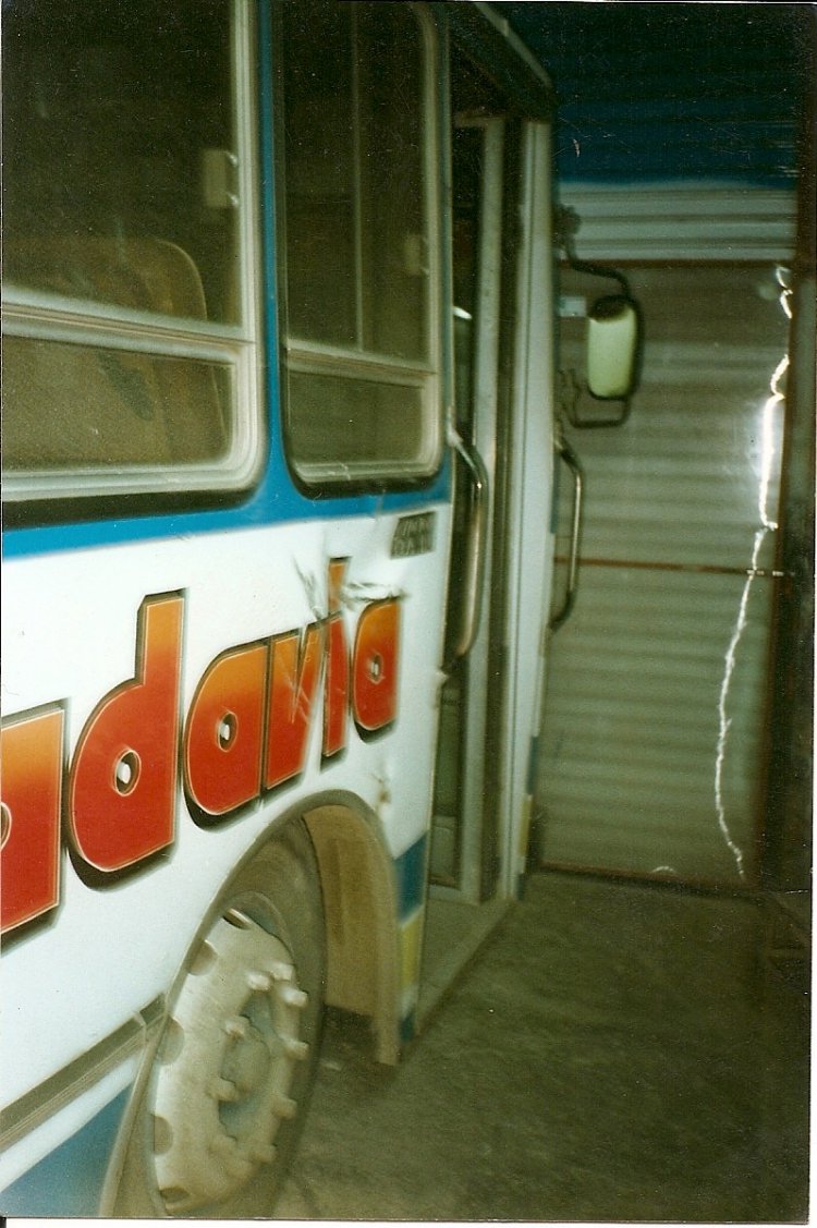 MARCELO SALGADO
FOTO DE CARLOS RAUL TUCCI
