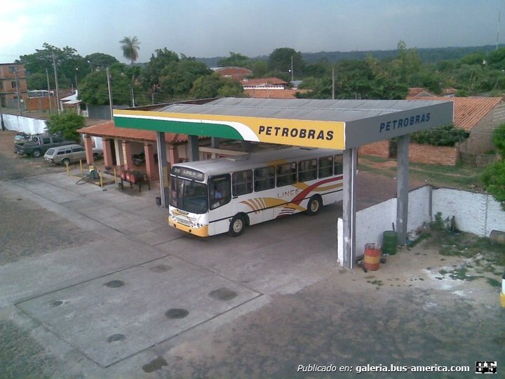 Grupo Lince Empresarial / Paraguay
Bus urbano del transporte público que sirve a la Gran Asunción
Palabras clave: grupolince1@hotmail.com / +59521960531