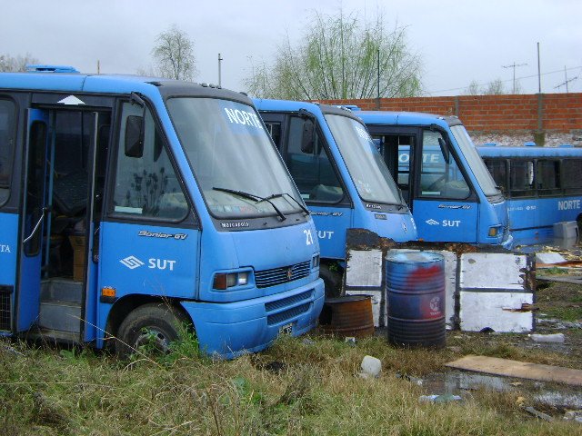 Fotografía : Andrés Rossi
