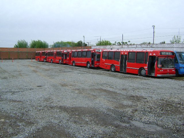 FOTO DE COLECCION EL MEJOR DEL CONDADO
LOS 215 PIDIENDO PISTA.
