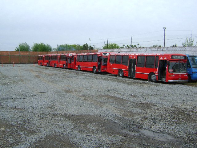 FOTO DE COLECCION EL MEJOR DEL CONDADO
LOS 215 PIDIENDO PISTA.
